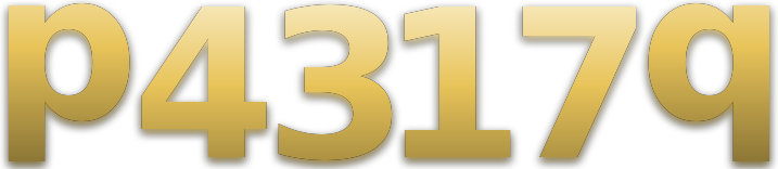 p4317q logo